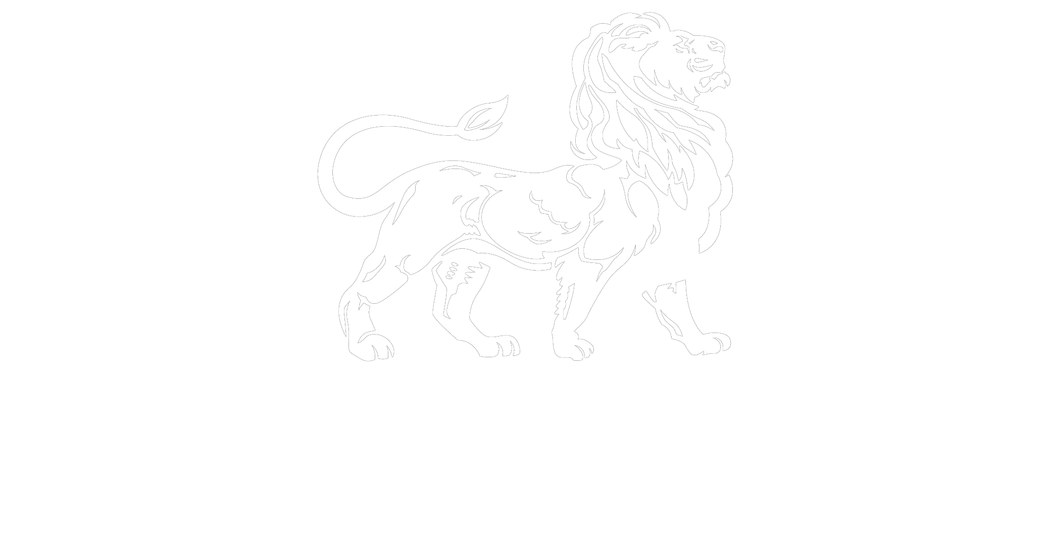 Пальто СПб